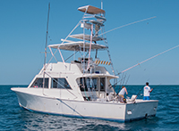 Deep Sea Sport Fishing Boat
