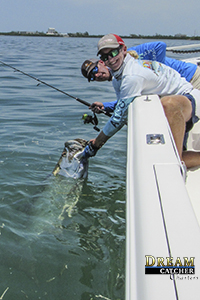 Tarpon fishing angler releases a tarpon in Key West